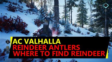 Eyvind is sleeping below a sheer cliff. . Ac valhalla reindeer antlers